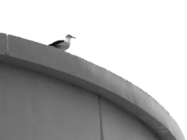 3D开奖结果公布:一等奖奖金究竟能有多少钱? 3D开奖结果公布:一等奖奖金究竟能有多少钱?