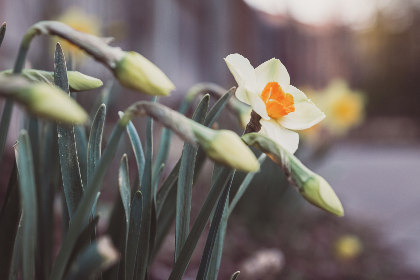 2017年CBA总决赛全程视频直播高清完整版回放 2017年CBA总决赛全程视频直播高清完整版回放