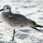 2016赛季中乙联赛全程直播精彩回顾 hmjn3