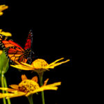 2017乐视体育独家直播环意自行车赛精彩盛况 is0yiih564