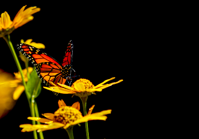 2017乐视体育独家直播环意自行车赛精彩盛况 2017乐视体育独家直播环意自行车赛精彩盛况