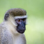 2017年NBA总决赛精彩对决文字直播全记录 k68vzr