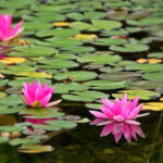 3D开奖结果今日最新公布,一注赢取千万大奖 tkxn302l8