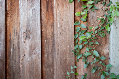 2017118期现场直播全程精彩回顾 2017118期现场直播全程精彩回顾